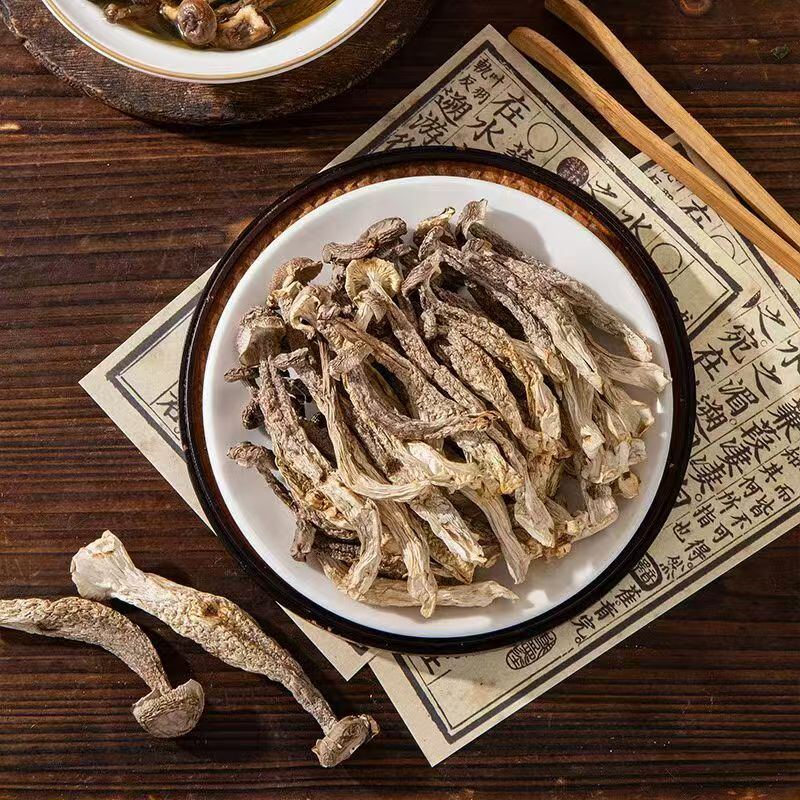 鹿茸菇